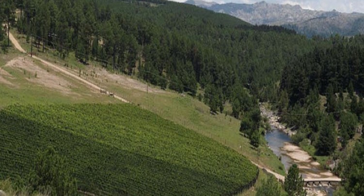 Bodega en el valle de Calamuchita