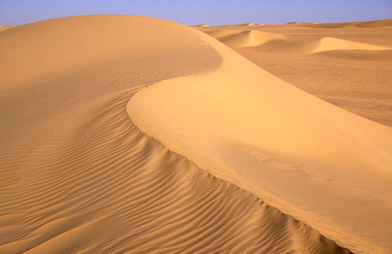 niger