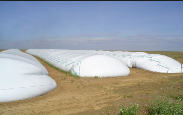 Soja en silo bolsa