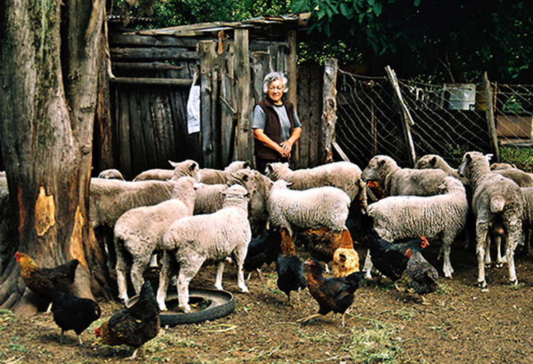 Agricultura familiar-granja-
