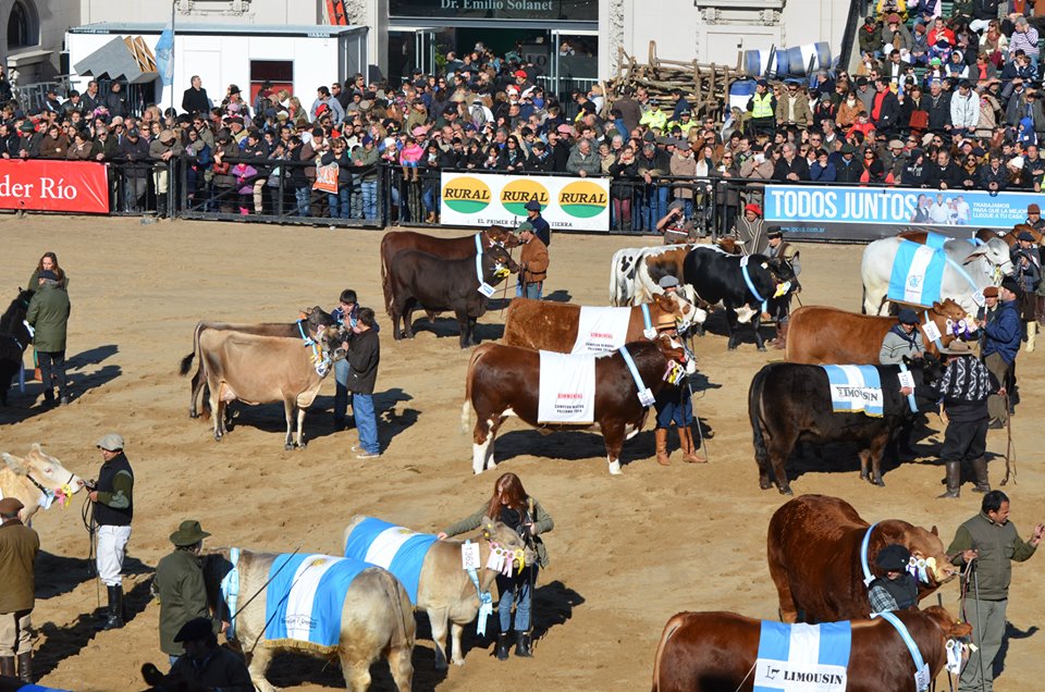 Desfile de grandes campeones en el acto inaugural -