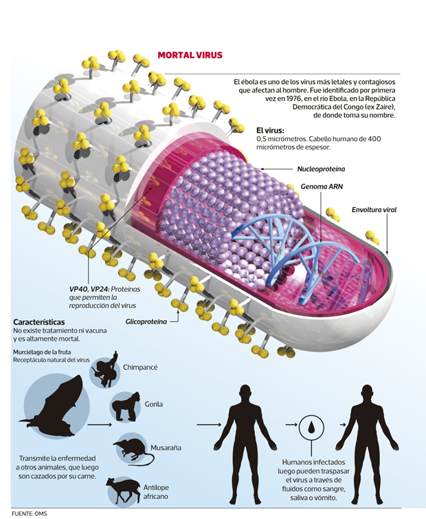ebola-temible-virus