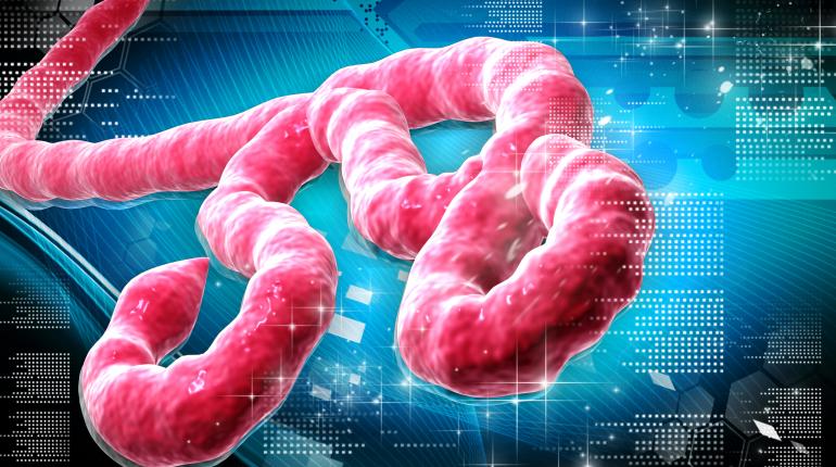 ebola tratamiento