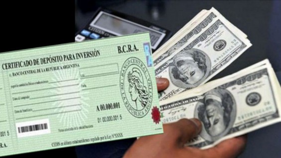 cedin y dolares