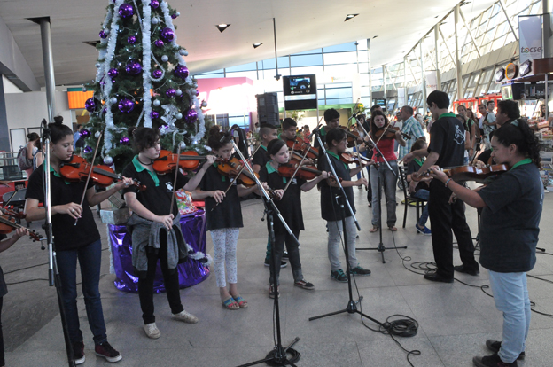 terminal violines
