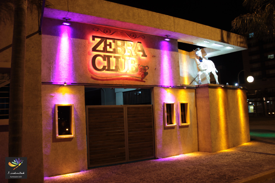 zebra club