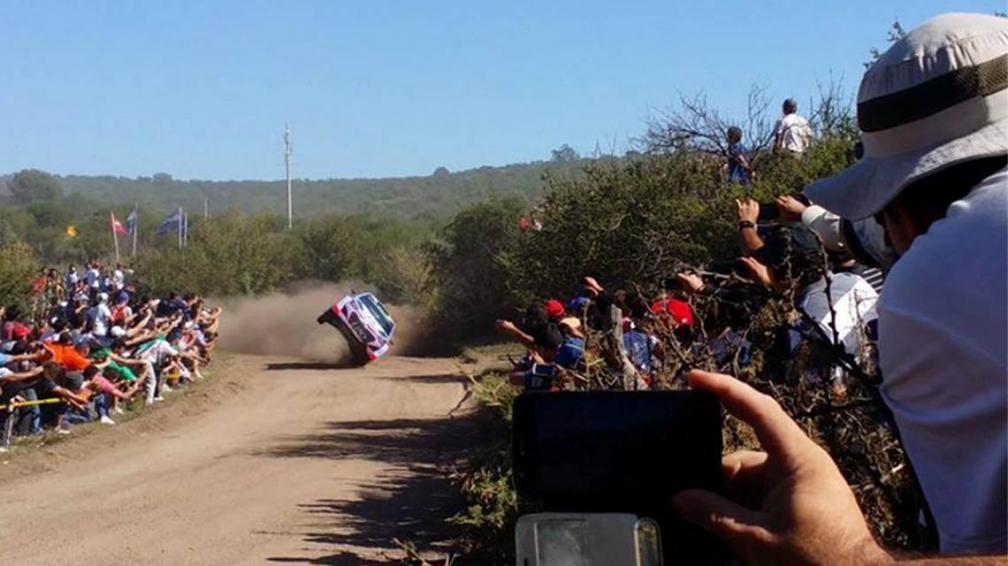 paddon rally 2015