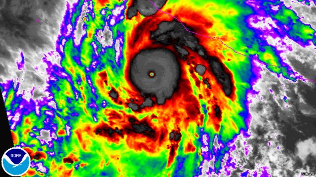 horacan patricia