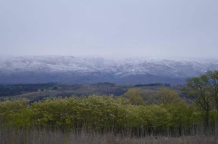 nieve cordoba 2