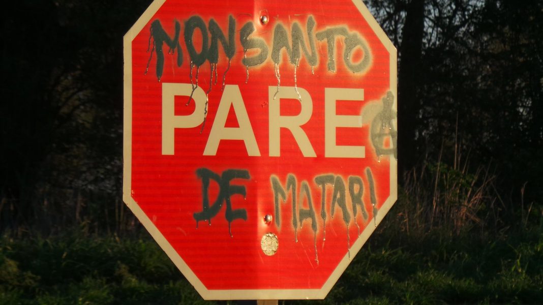Monsanto_Barruti_07_CAJA1