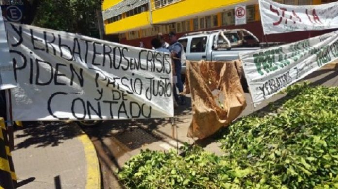 yerbateros-en-crisis