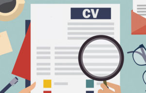 curriculum vitae