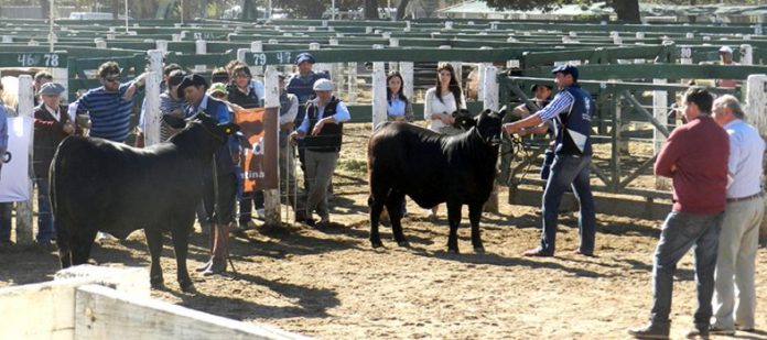 expo_rural