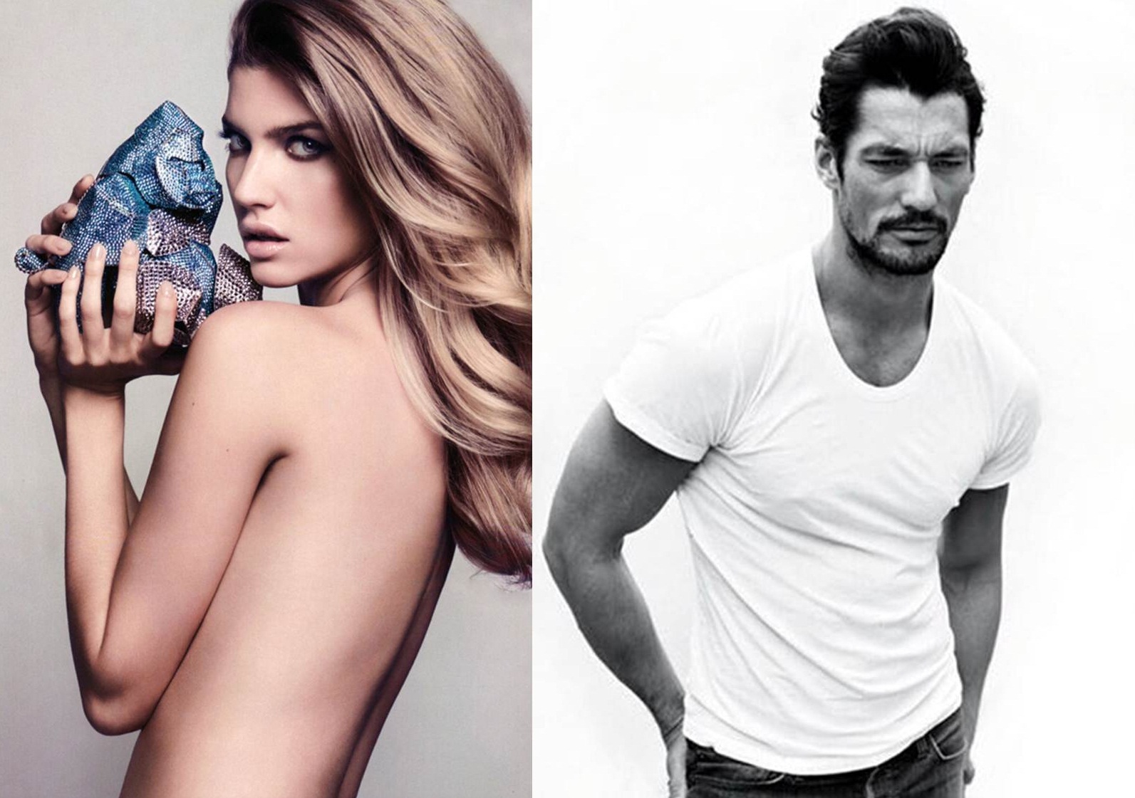 GANDY