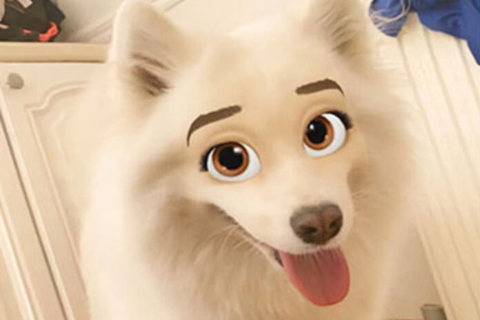 Furor por el filtro de Snapchat que convierte a los perros en personajes animados