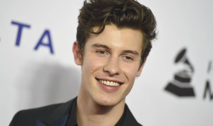 Shawn Mendes será el protagonista de in Wonder un nuevo documental de Netflix