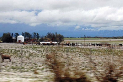 piedra_berrotaran