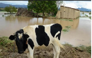 Inundaciones en el tambo