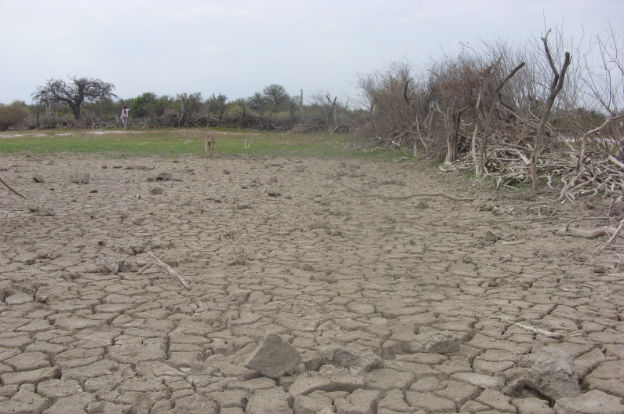 emergencia-agropecuaria-dos