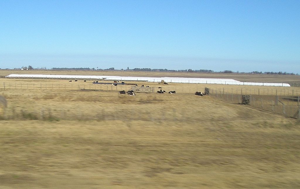 Silobolsa en campo de la provincia de Buenos Aires