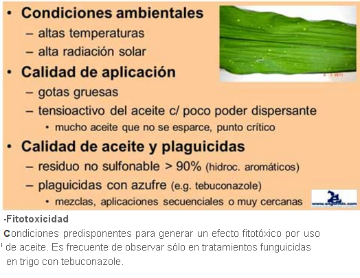 Condiciones para Fitotoxicidad de los aceites