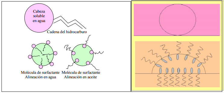 Surfactante