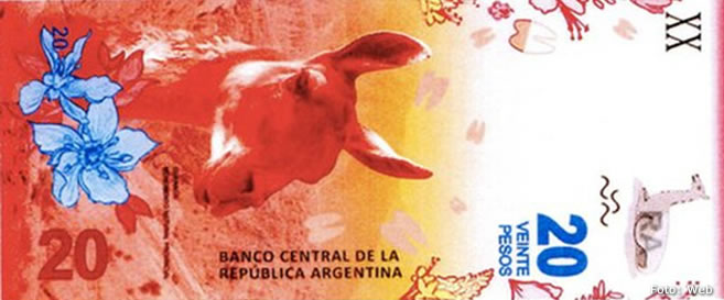 guanacobillete20pesosargentina