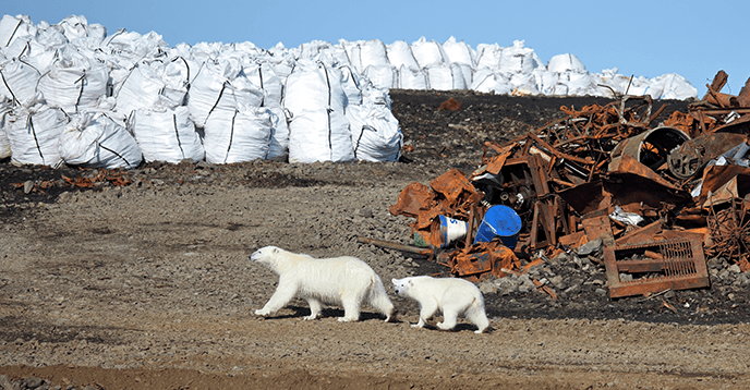 ipbes_report