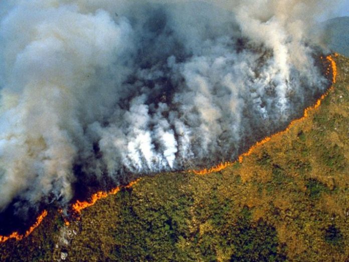pray for amazonas