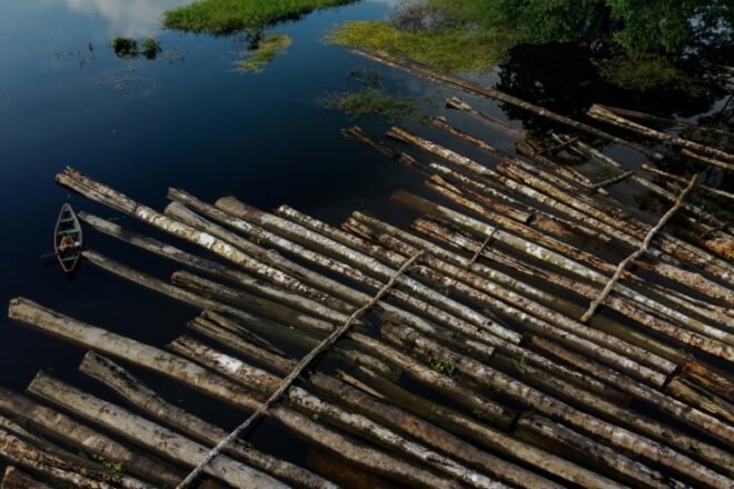amazonas-deforestacion-bolsonaro